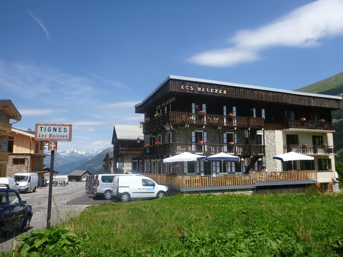 Chalet Les Melezes Bed & Breakfast ทีนเญอ ภายนอก รูปภาพ